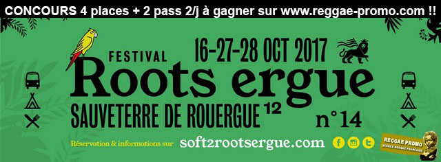 Roots Ergue Festival fly