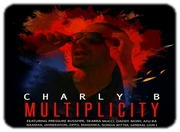 Charly B Multiplicity visu
